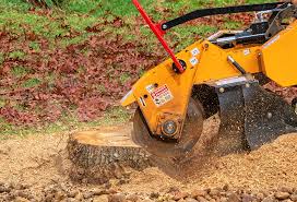 Best Lot and Land Clearing  in Johnston, IA