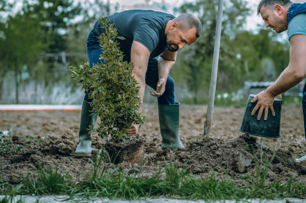 Best Weed Control  in Johnston, IA