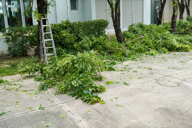 Johnston, IA Tree Services Pros