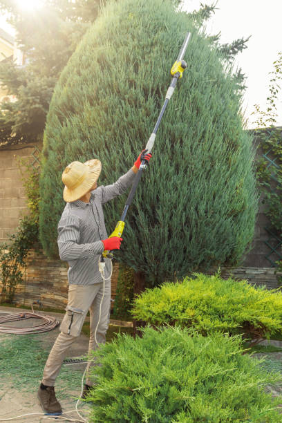 Best Lawn Irrigation Installation and Maintenance  in Johnston, IA
